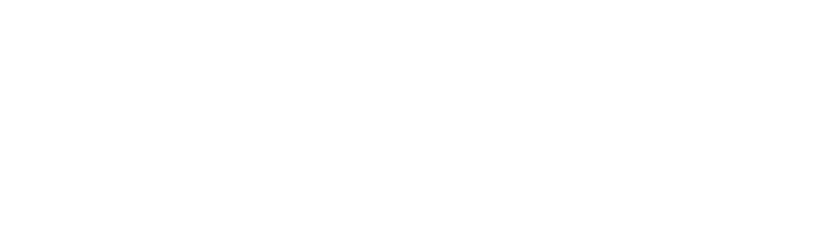 Viscariello Hospitality Group