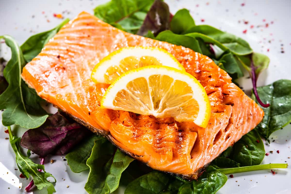 Salmon