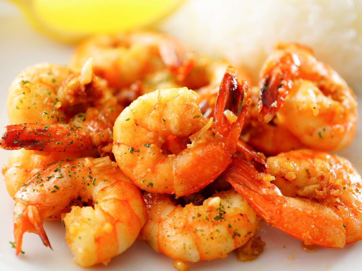 Shrimp