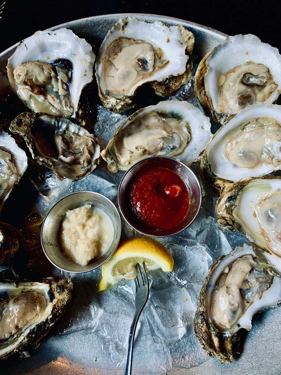 oyster
