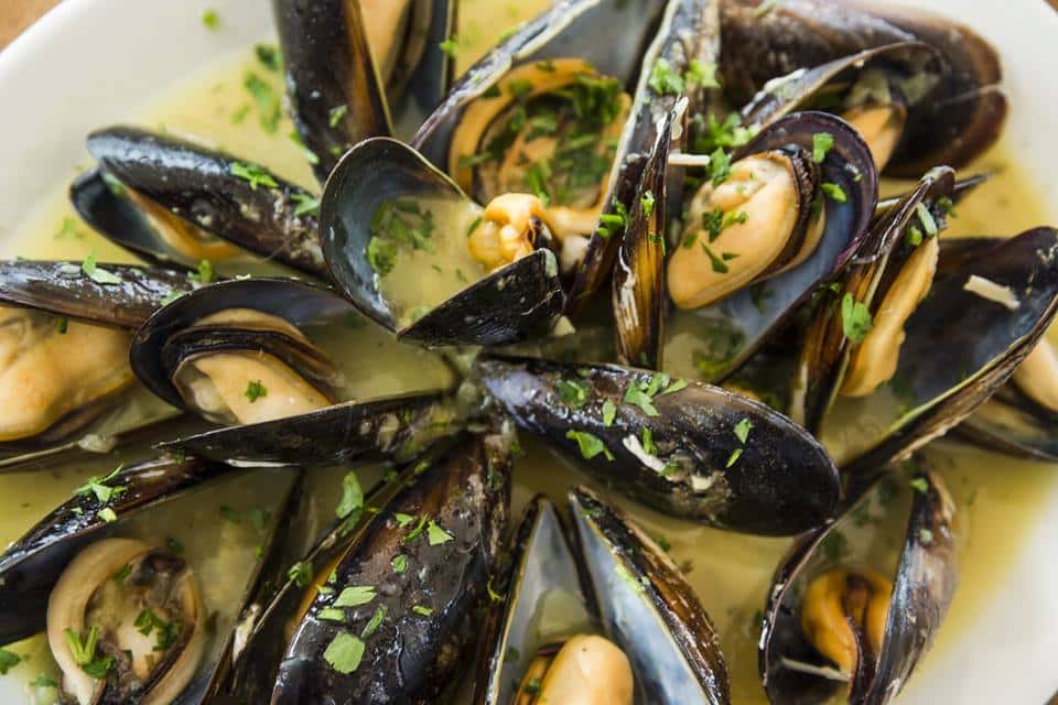 Mussels