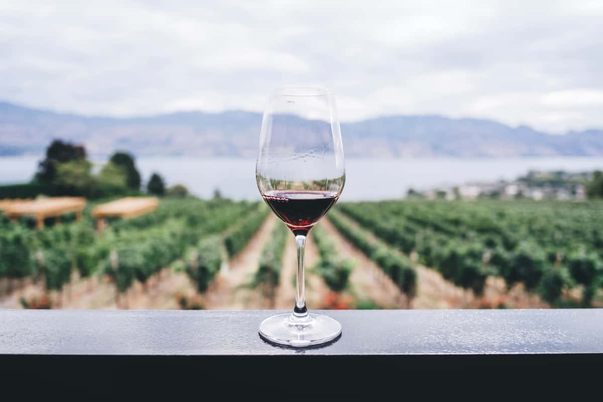 A half-filled glass of red wine set against a scenic vineyard with mountains and a lake in the background.