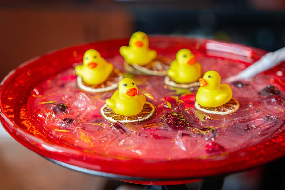 bird bath cocktail