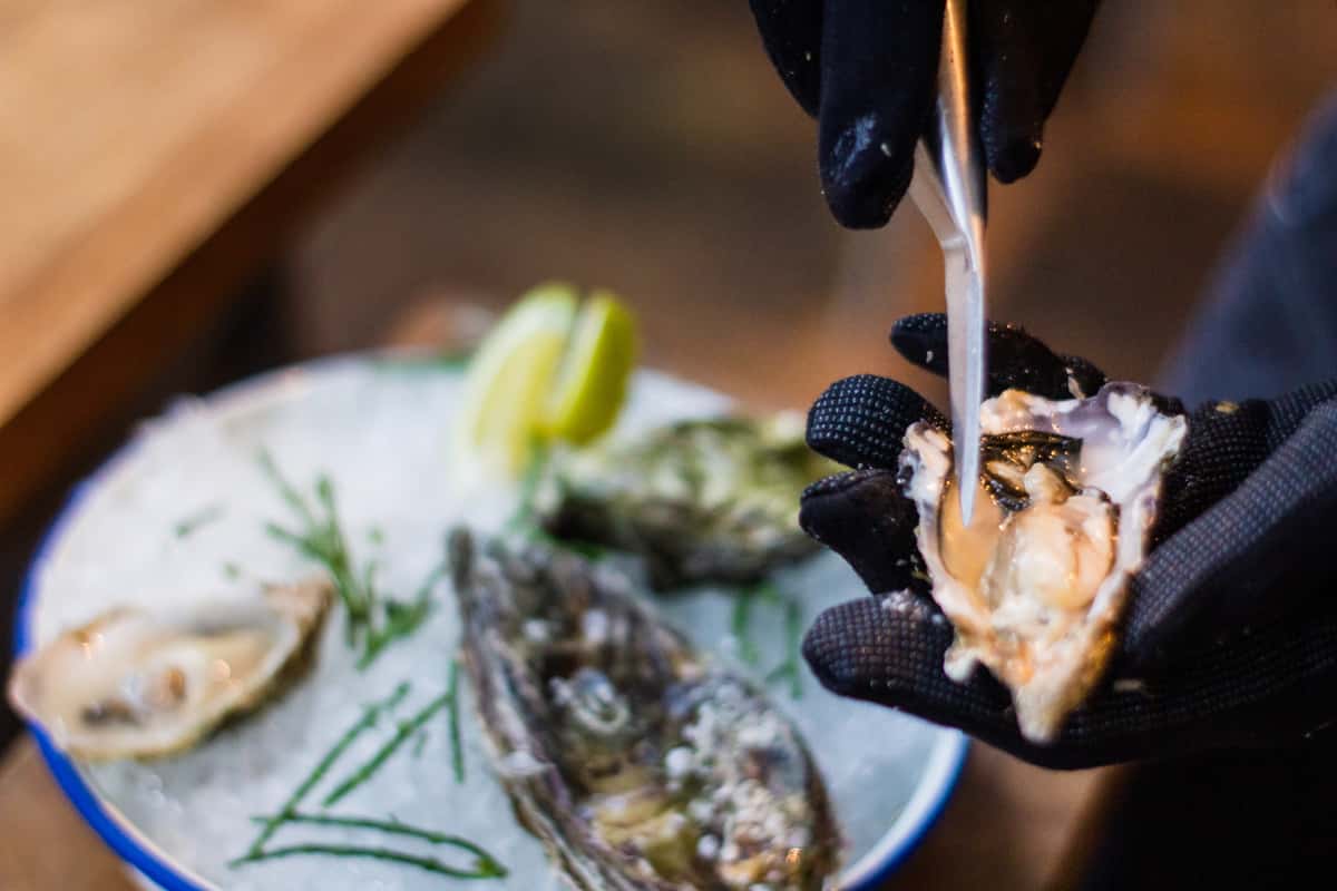 oyster