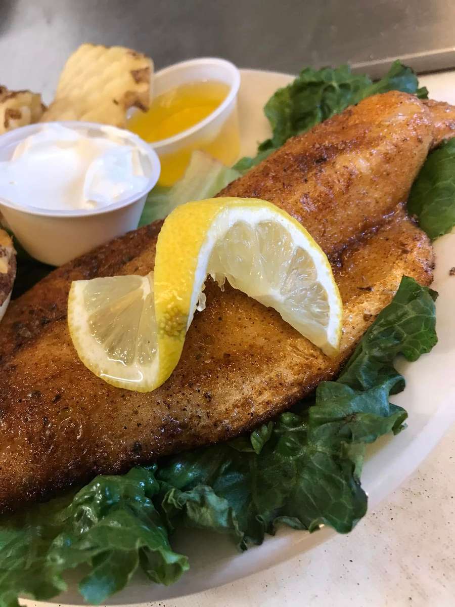 Pangasius