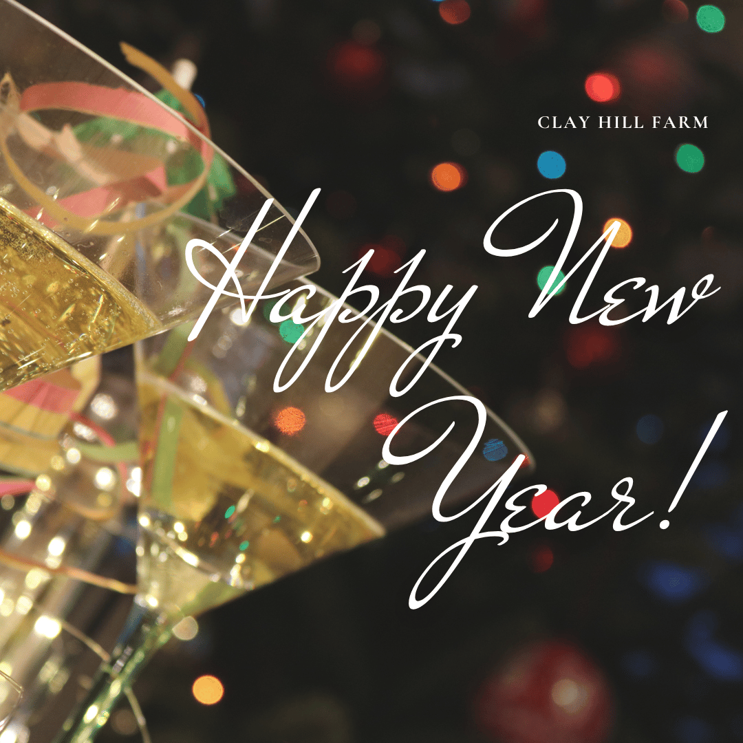 Happy New Year