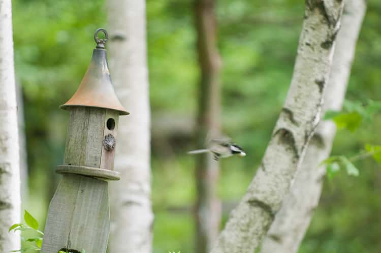birdhouse