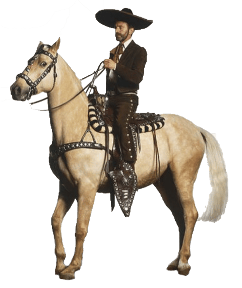 Man in a sombrero on a horse