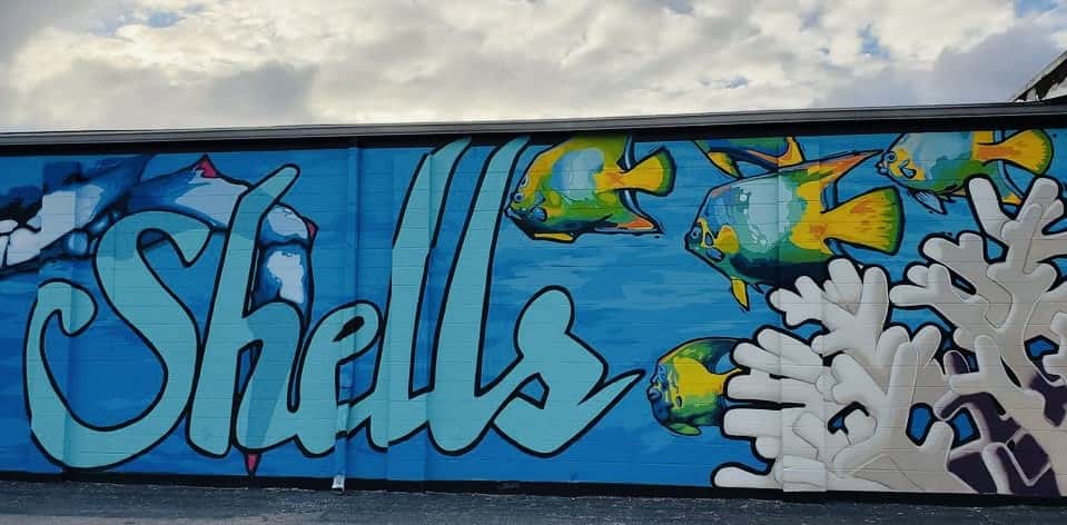 Brandon Shells Mural Wall