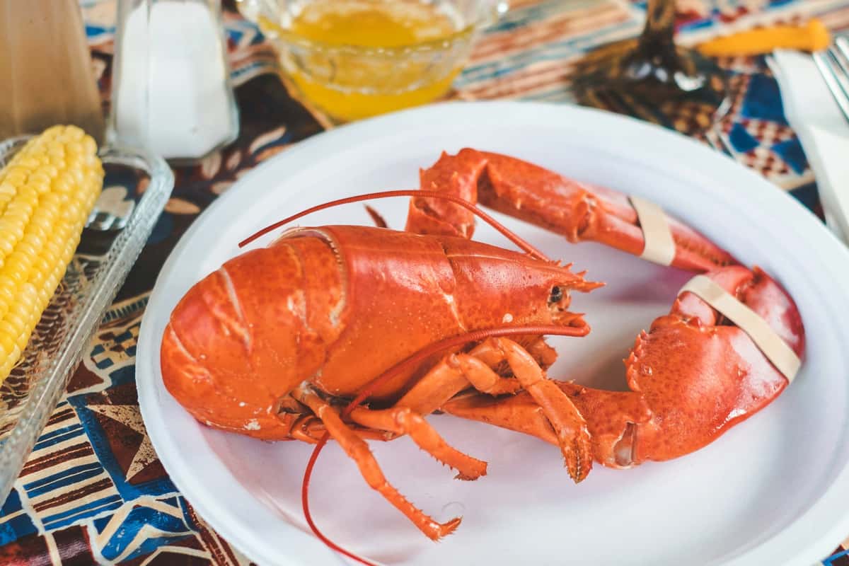 Lobster meal