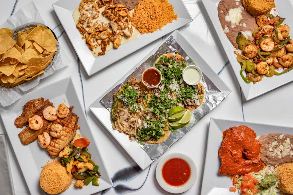 top view shot of different dishes