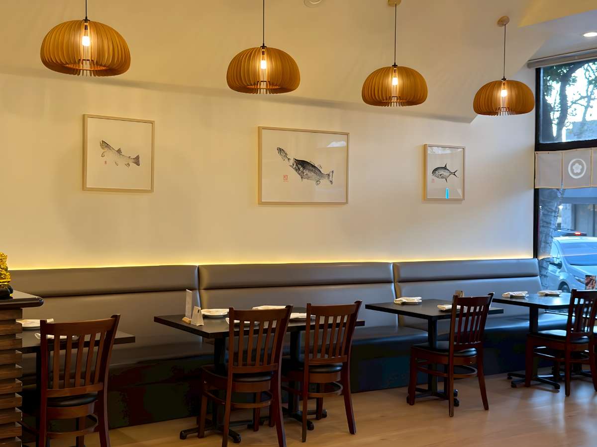 vibe-dining-fish-wall-fillet-sushi-sgv