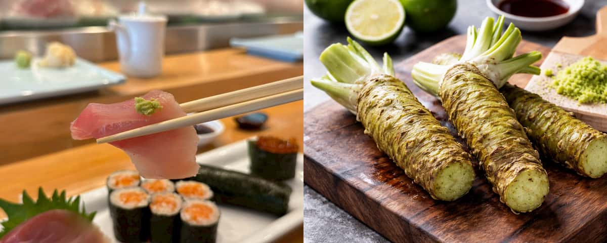 yellowtail-sashimi-wasabi-fillet-sushi