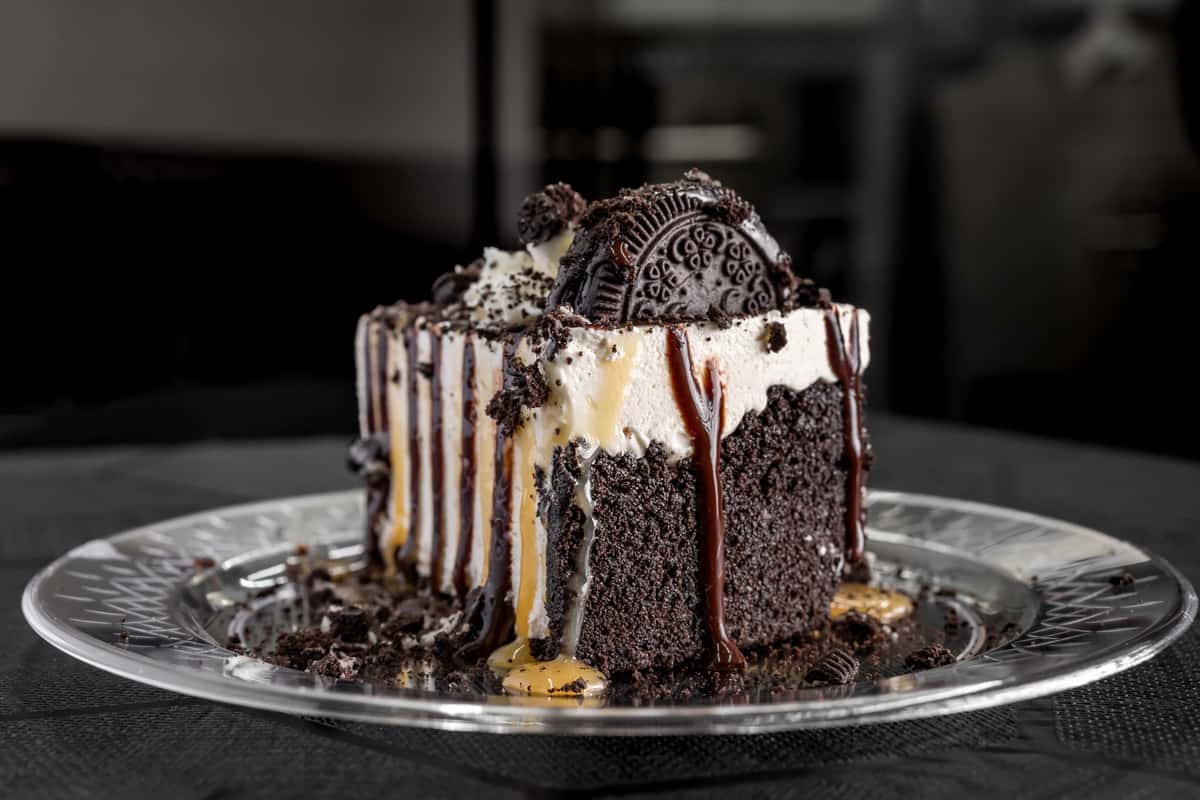 Turtle Cooke Cheese Cake