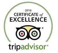 Trip Advisor 2016