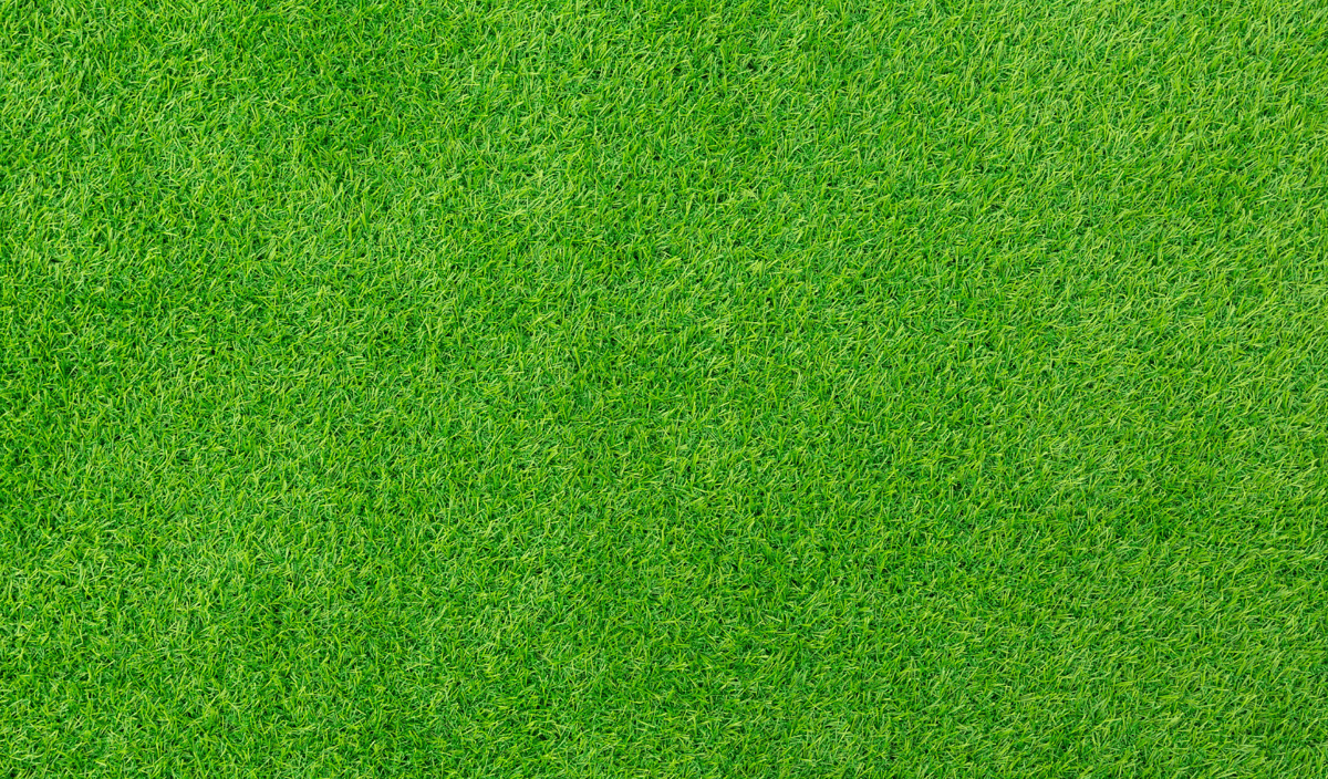 grass