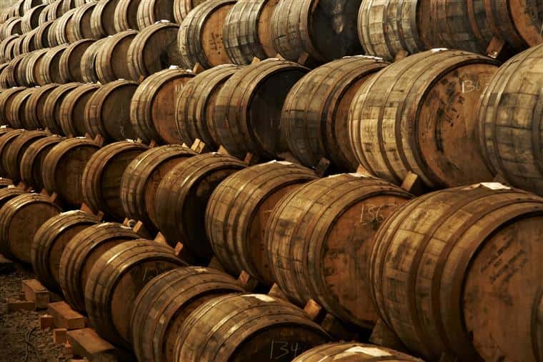 wood barrels in the wine cellar