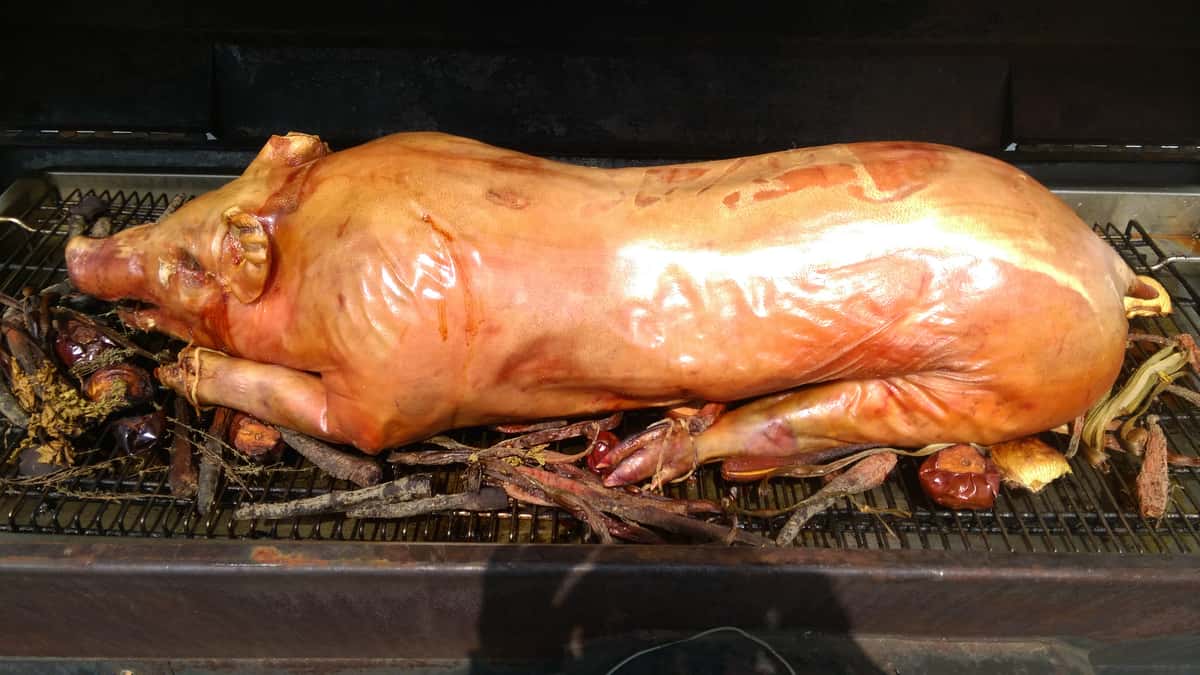 A whole pig roasting on a barbecue grill, surrounded by wood and herbs, showcasing a golden-brown skin, perfect for a festive barbecue gathering or outdoor celebration.