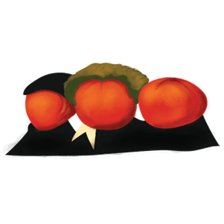 The Three Stewed Tomatoes