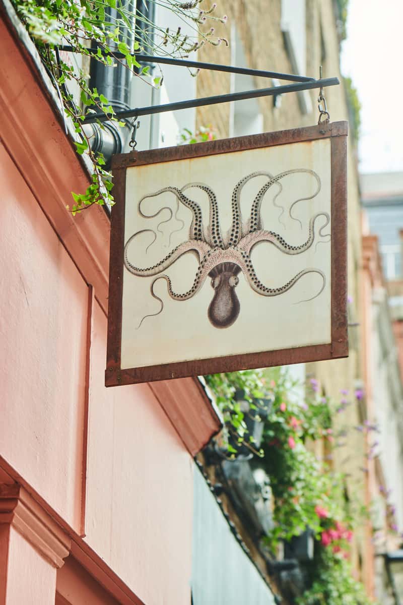 exterior octopus logo sign