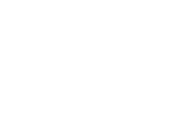 Verde Logo