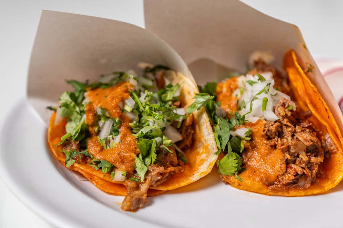 birria