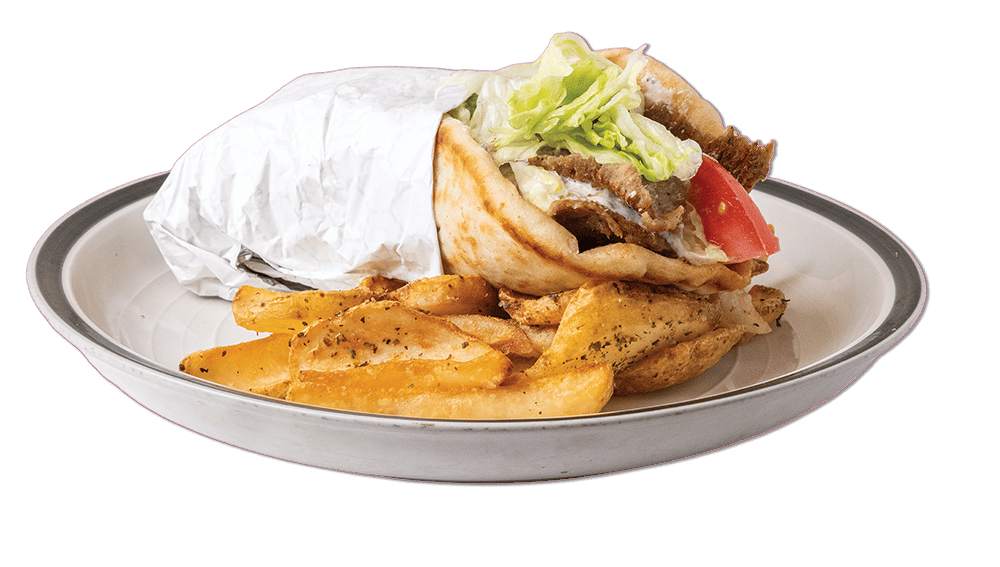 Gyro and greek fries