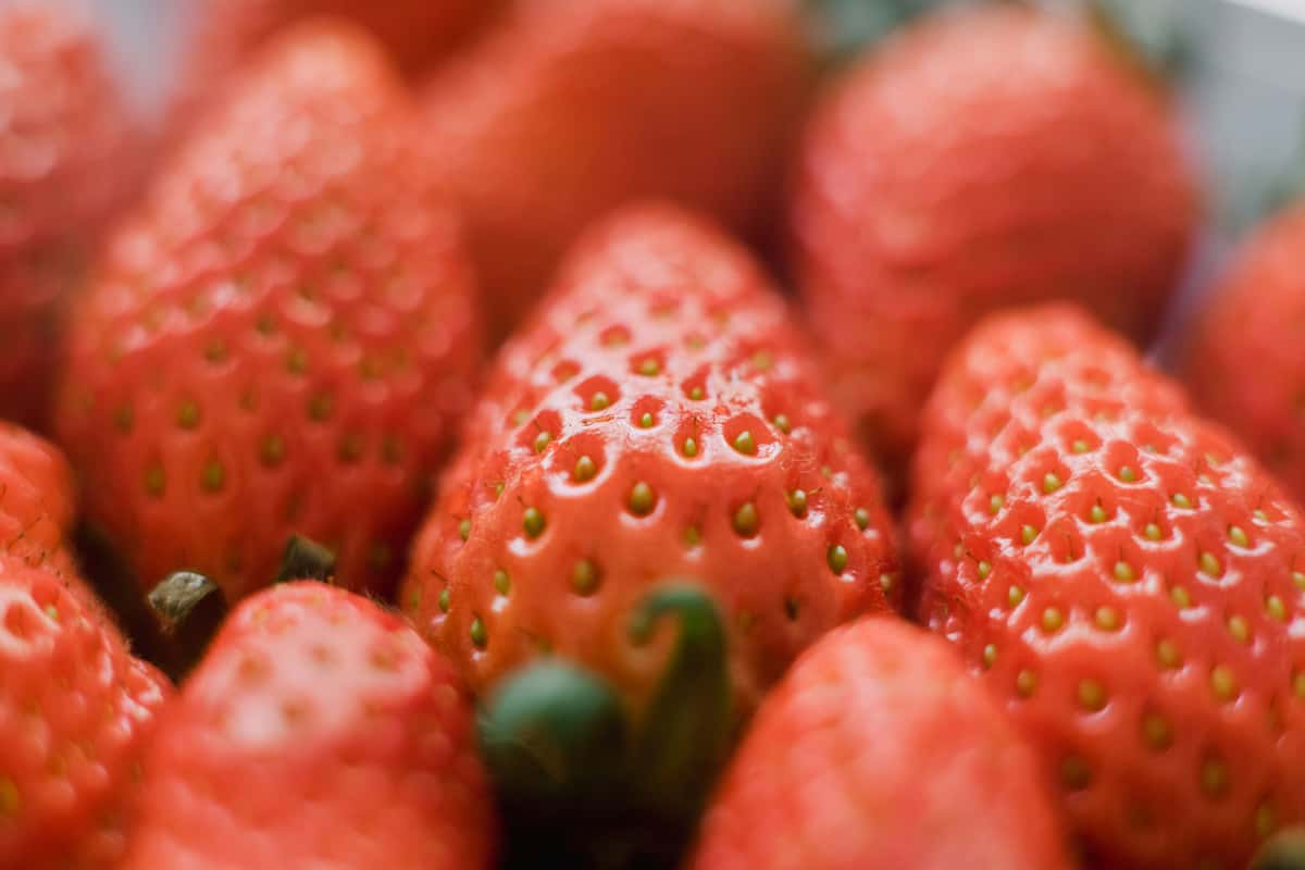 close up image of strawberries