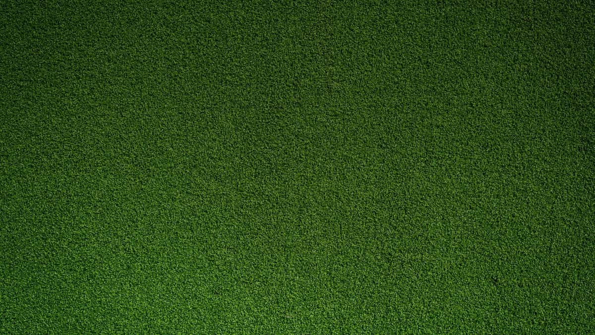 Golf grass background