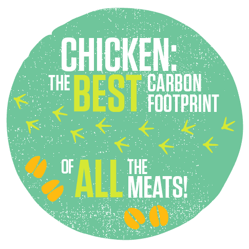 Chicken Carbon Footprint Icon