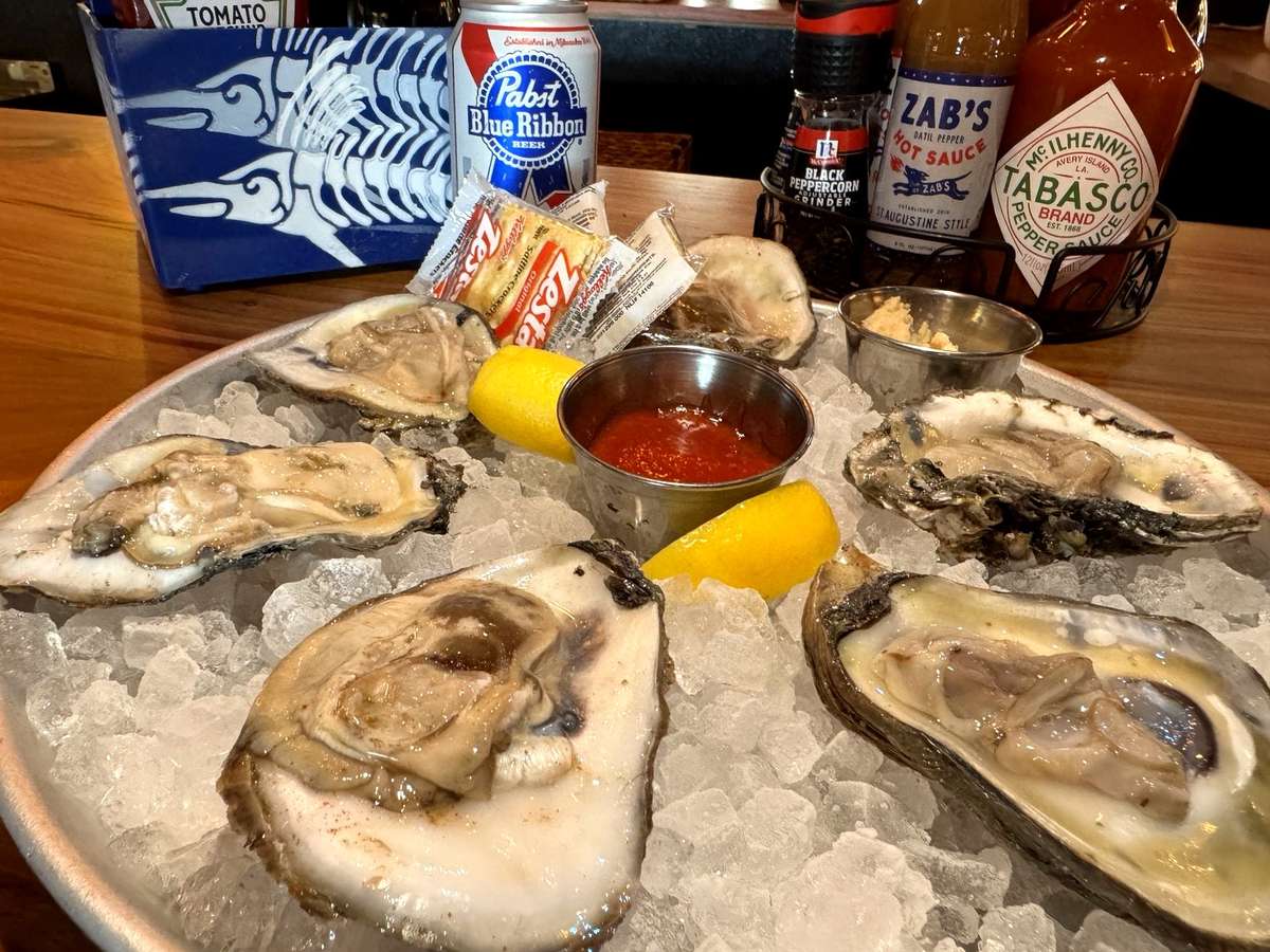 Oysters
