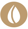 seed oils