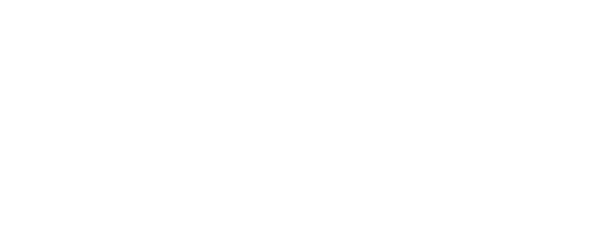 Blend.Co Logo White