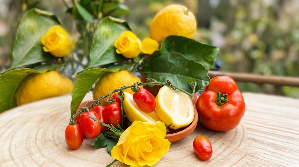 lemons tomatoes roses