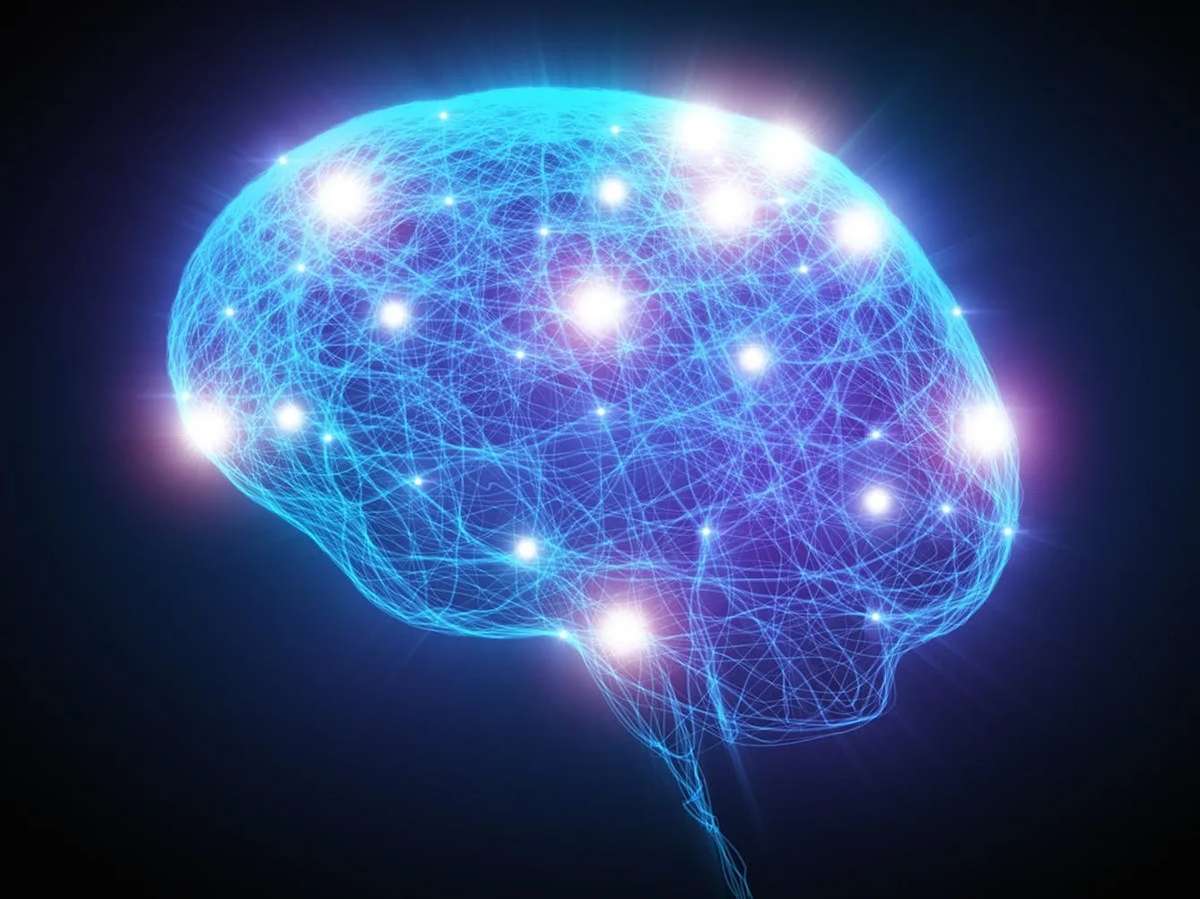 The Brain-Body Connection Explained