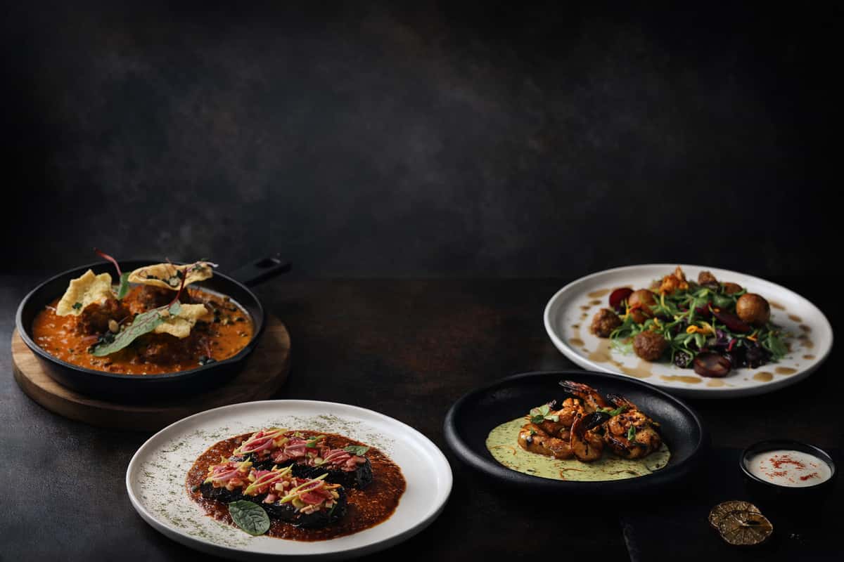 A curated selection of signature Indian fine dining dishes including rich curries, grilled seafood, and modern vegetarian plates, presented with elegance at Indus in Highland Park.