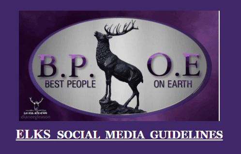 social media guidelines