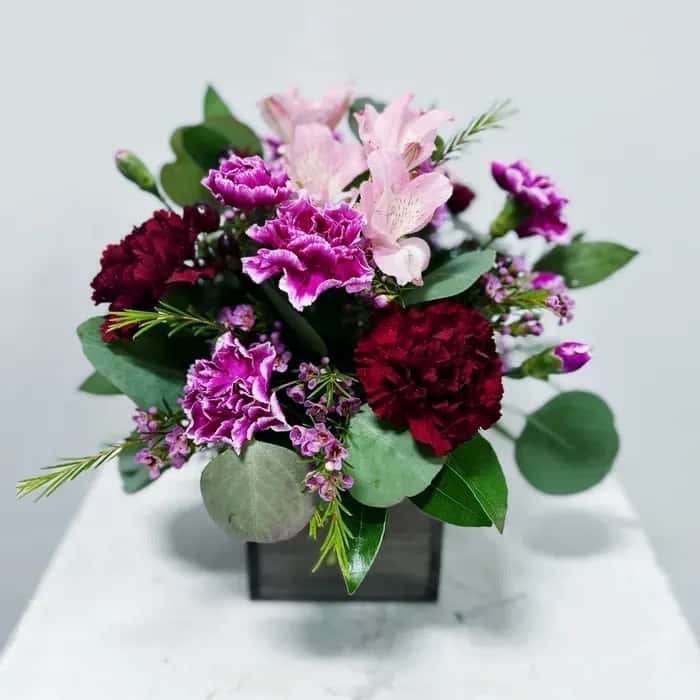 Dianthus Box - 4X4
