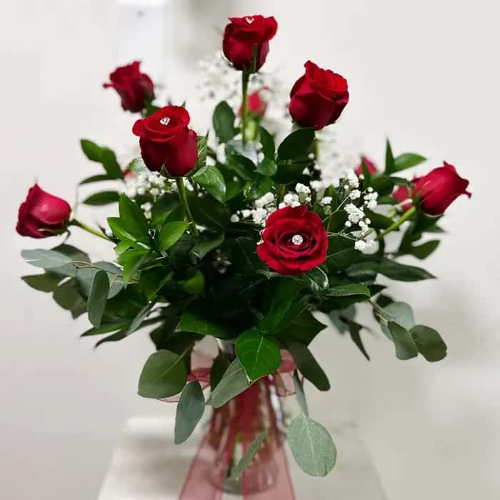 Classic One Dozen Roses