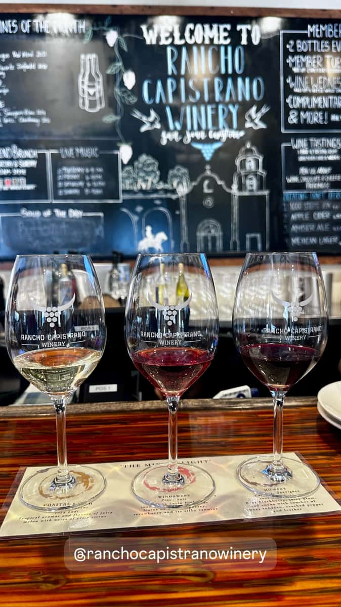 wine tasting
