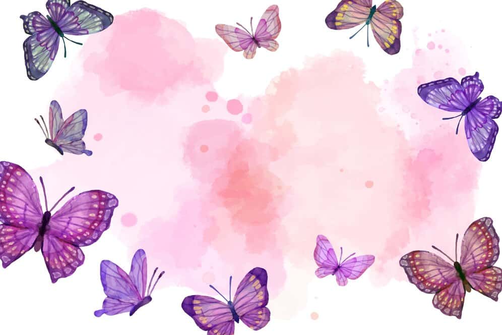 butterfly 1