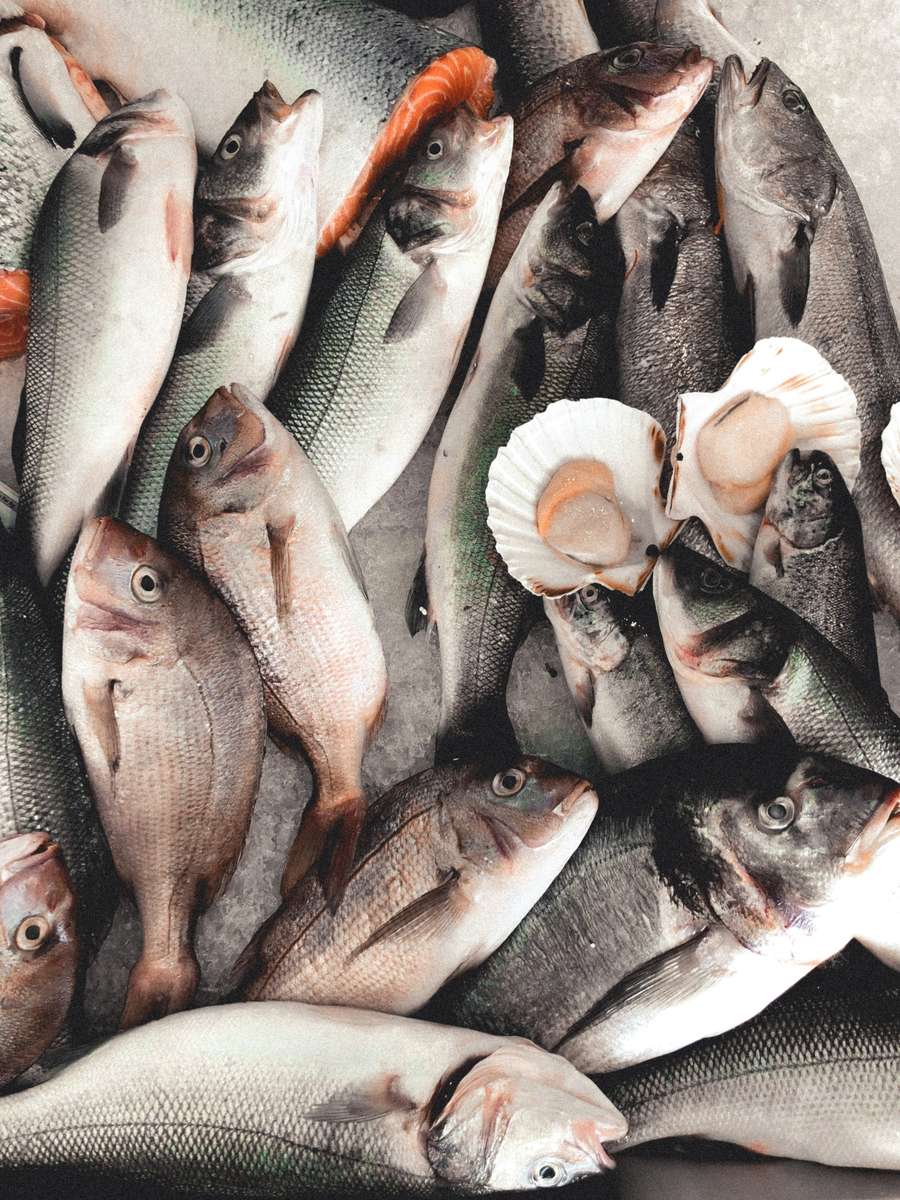 Seafood