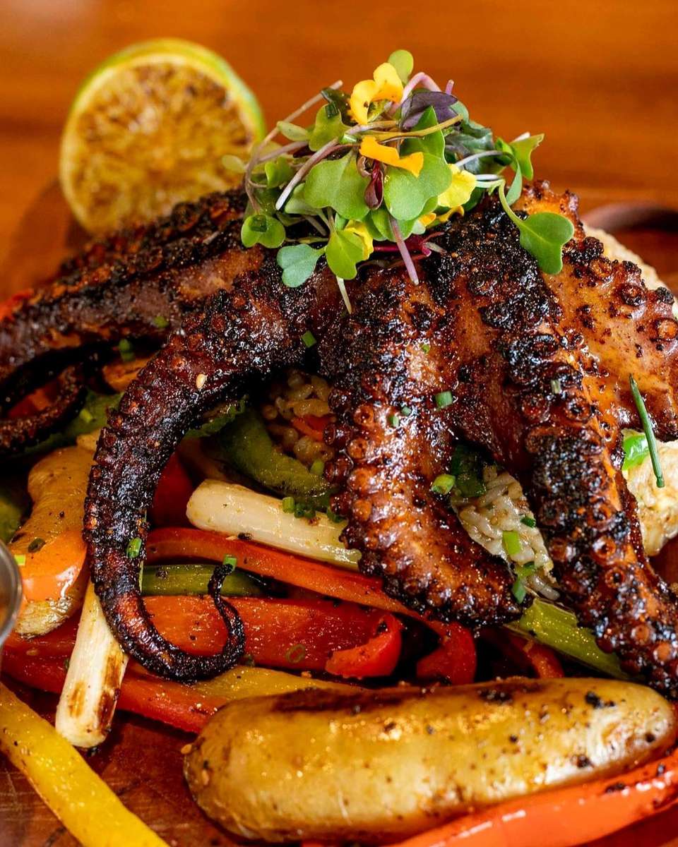 Octopus