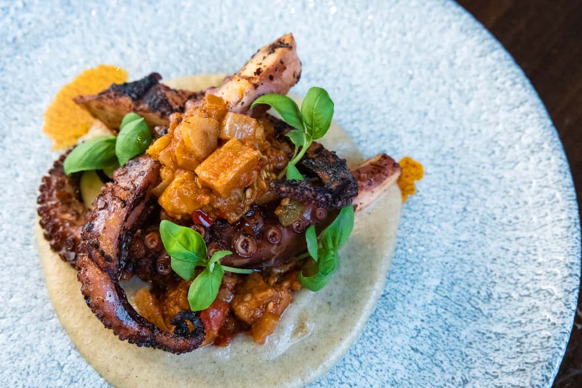 Octopus
