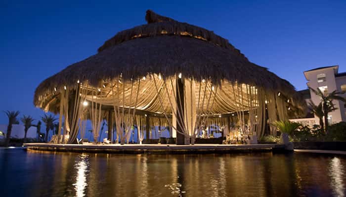 javiers los cabos
