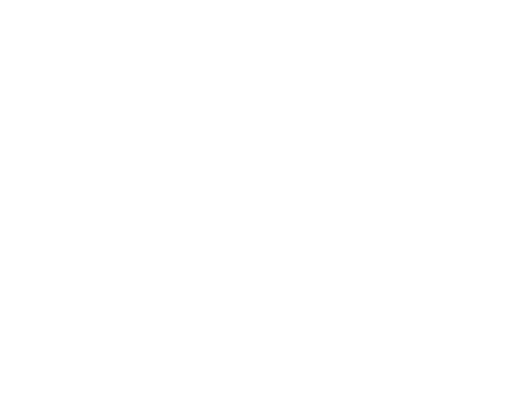 zizikis logo white