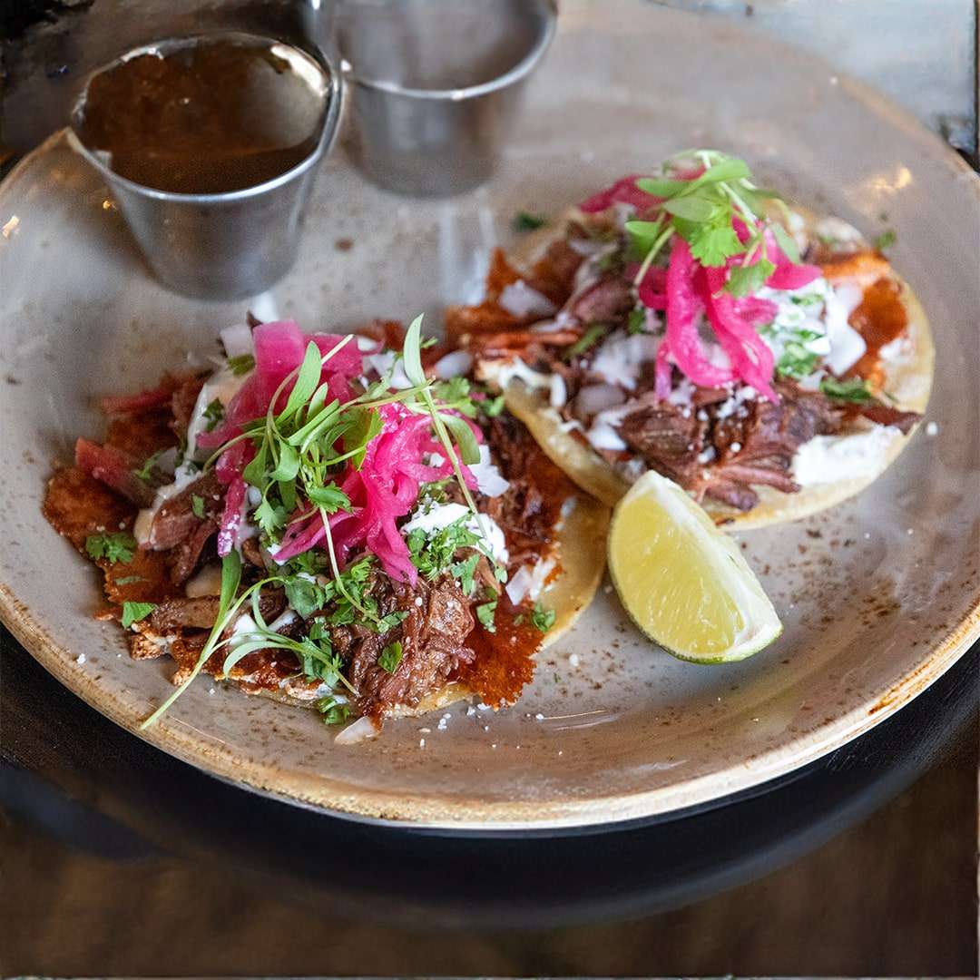 carnitas
