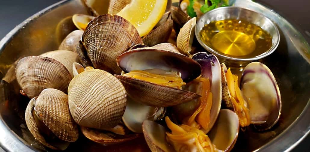 clams
