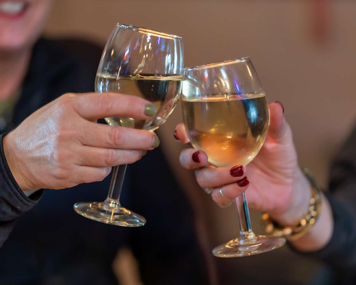 People toasting glasses of wine in a formal setting