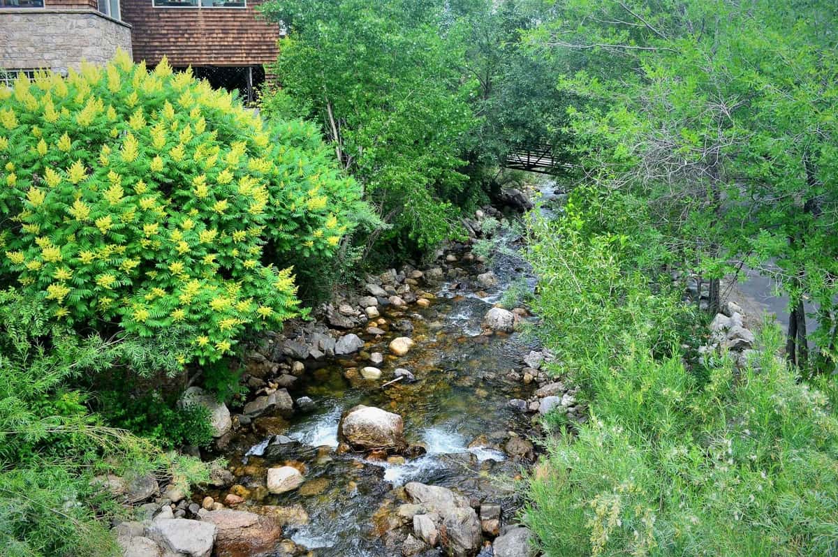 Creekside